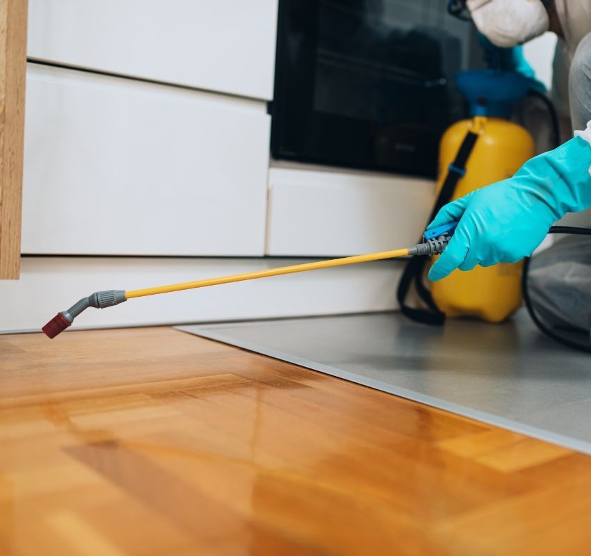 Use the modern devices necessary to control insects