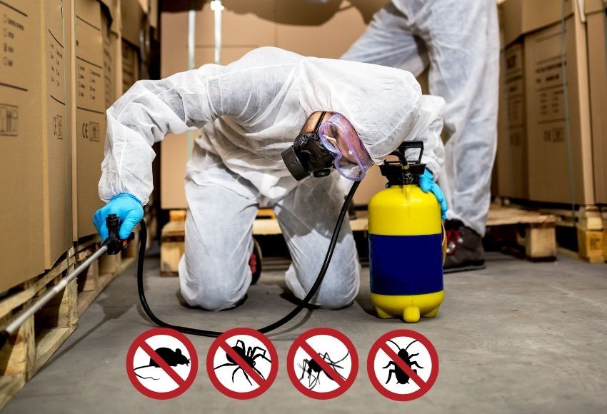 pest control services