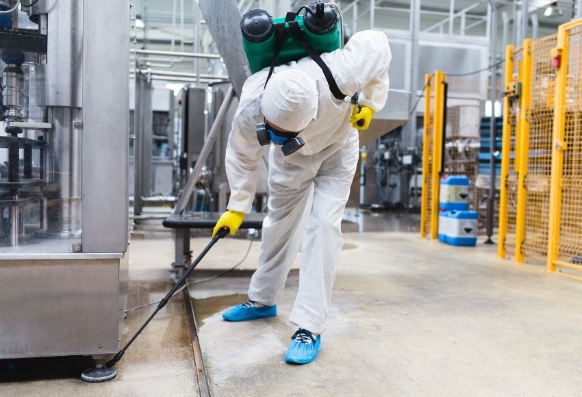 pest control services